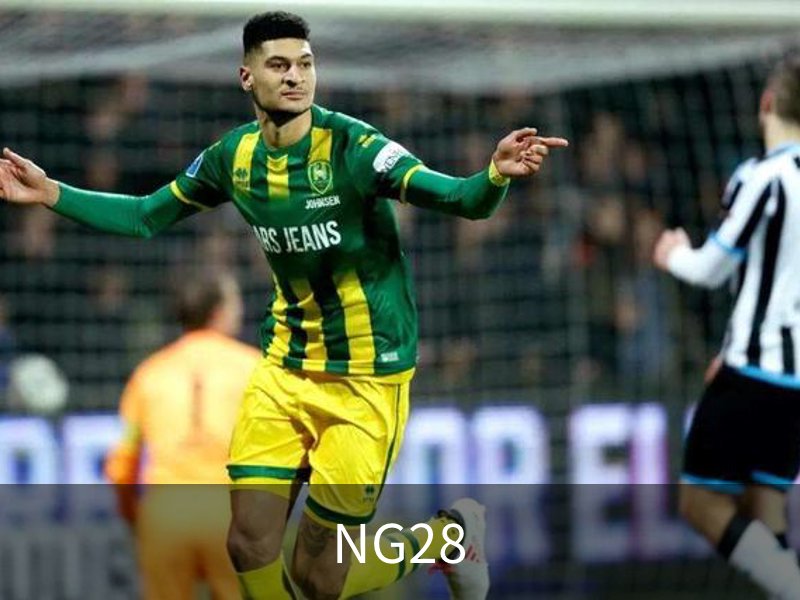NG28品牌故事